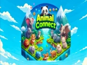 Animal Connect Online animal Games on NaptechGames.com