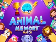 Animal Memory Match Brain Boost Challenge Online memory Games on NaptechGames.com