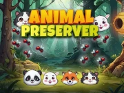 Animal Preserver Online Puzzle Games on NaptechGames.com