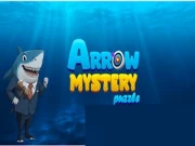 Arrow Mystery Puzzle Online platformer Games on NaptechGames.com