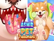 ASMR Pet Treatment Online games-for-girls Games on NaptechGames.com
