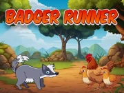 Badger Runner Online Hypercasual Games on NaptechGames.com