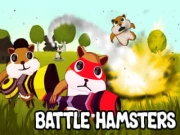 Battle Hamsters Online battle Games on NaptechGames.com