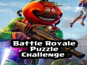 Battle Royale Puzzle Challenge Online Puzzle Games on NaptechGames.com