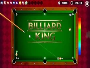 Billiard King Online pool Games on NaptechGames.com