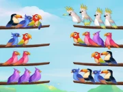 Bird Sort Puzzle Online Puzzle Games on NaptechGames.com