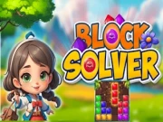 Block Solver Online block Games on NaptechGames.com