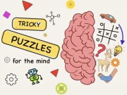 Brain puzzles-Quests Online Puzzle Games on NaptechGames.com