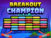 Breakout Champion Online Puzzle Games on NaptechGames.com