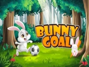 Bunny Goal Online casual Games on NaptechGames.com