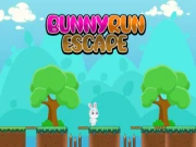 Bunny Run Escape Online platformer Games on NaptechGames.com