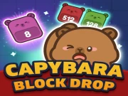 Capybara Block Drop Online Puzzle Games on NaptechGames.com