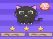 Cat Challenge Online Puzzle Games on NaptechGames.com