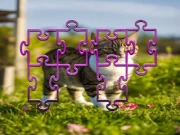 Cat Jigsaw Puzzle Frenzy Online cats Games on NaptechGames.com