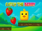 Catch the Berry Online platformer Games on NaptechGames.com