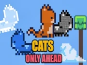 Cats Only Ahead Online cats Games on NaptechGames.com