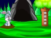 Cave Forest Escape 3 Online Puzzle Games on NaptechGames.com