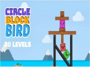 Circle Block Bird Online casual Games on NaptechGames.com