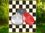 Classic Checkers Forest Online checkers Games on NaptechGames.com