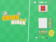 Color Block - Puzzle Online puzzle Games on NaptechGames.com