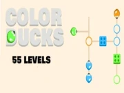 Color Ducks Online brain Games on NaptechGames.com