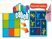 Colour Catch Online brain Games on NaptechGames.com