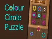 Colour Circle Puzzle Online brain Games on NaptechGames.com