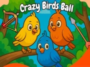 Crazy Birds Ball Online casual Games on NaptechGames.com