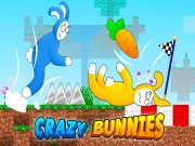 Crazy Bunnies Online Casual Games on NaptechGames.com