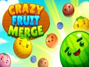 Crazy Fruit Merge Online puzzle Games on NaptechGames.com