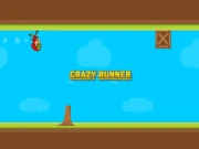 Crazy Runner Boy Online arcade Games on NaptechGames.com