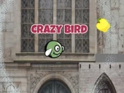 CrazyBirdCity Online arcade Games on NaptechGames.com