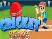 Cricket Craze Online cricket Games on NaptechGames.com