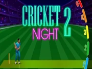 Cricket Night 2 Online cricket Games on NaptechGames.com