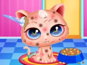 Cute Kitty Care Online Girls Games on NaptechGames.com