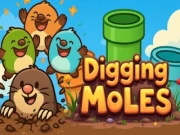 Digging Moles Online puzzle Games on NaptechGames.com
