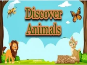 Discover Animals Online educational Games on NaptechGames.com