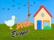 Duck Escape Online puzzle Games on NaptechGames.com