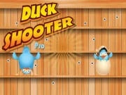 Duck Shooter Pro Online shooter Games on NaptechGames.com