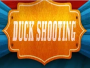 DuckShooting Online Clicker Games on NaptechGames.com