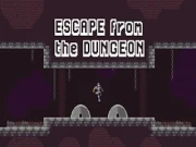 Escape from the Dungeon Online platformer Games on NaptechGames.com