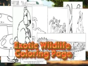 Exotic Wildlife Coloring Page Online coloring Games on NaptechGames.com