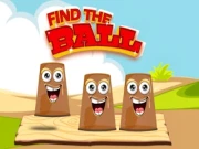 Find the Ball Game Online classics Games on NaptechGames.com