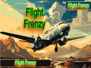 Flight Frenzy Online hyper-casual Games on NaptechGames.com