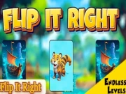 Flip It Right Online memory Games on NaptechGames.com