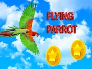 Flying Parrot Online Adventure Games on NaptechGames.com
