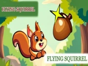 Flying Squirrel Online hyper-casual Games on NaptechGames.com