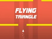 Flying Triangle Online arcade Games on NaptechGames.com