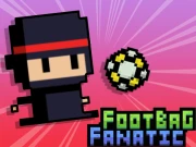 Footbag Fanatic Online Hypercasual Games on NaptechGames.com