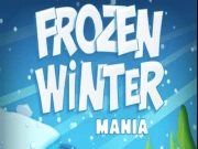 Frozen Winter Mania Online puzzles Games on NaptechGames.com